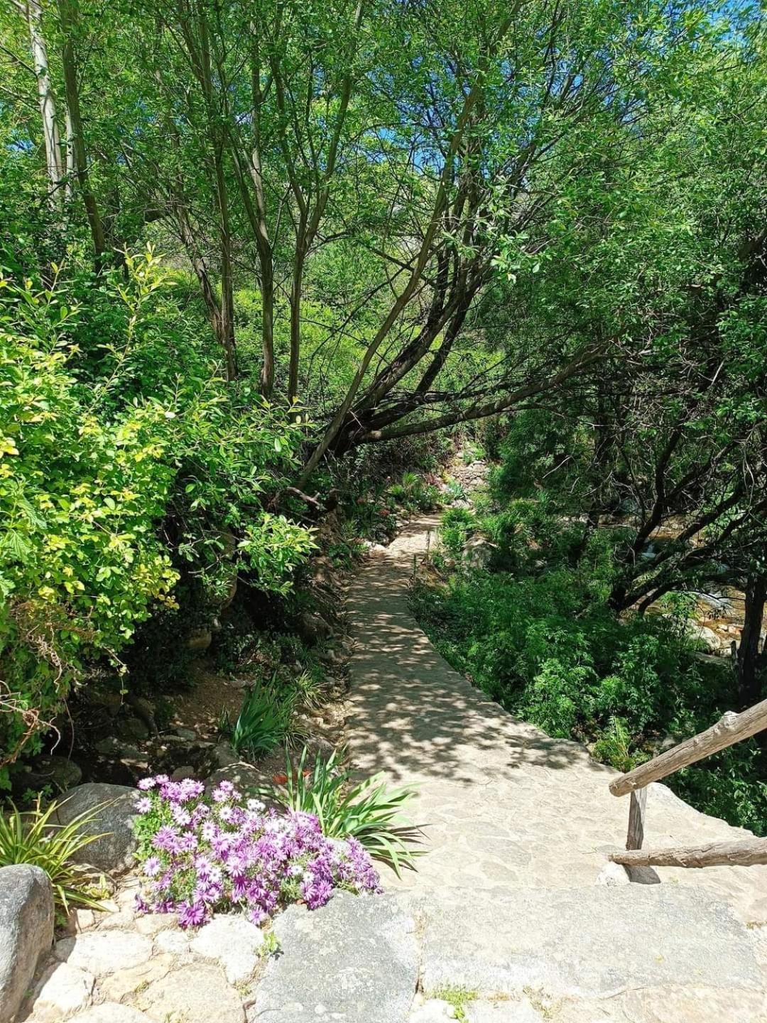 Triana Daire Villarejo del Valle Dış mekan fotoğraf