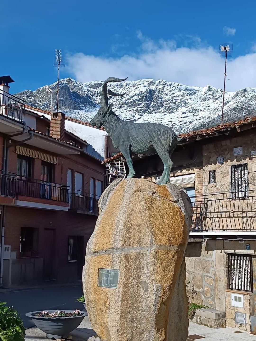 Triana Daire Villarejo del Valle Dış mekan fotoğraf